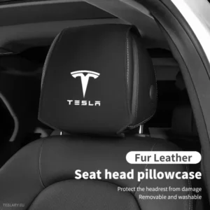Tesla cap